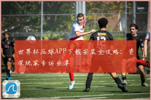 世界杯压球APP下载安装全攻略:资深玩家专访分享