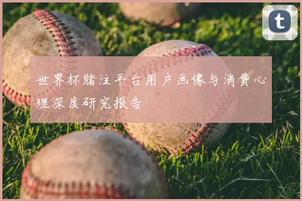 世界杯赌注平台用户画像与消费心理深度研究报告